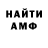 Amphetamine Premium Amina Pashaeva