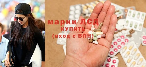 соль ск Тайга