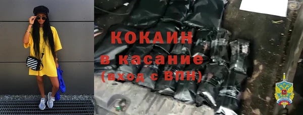 соль ск Тайга