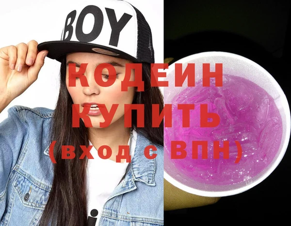 соль ск Тайга