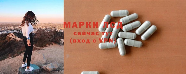 соль ск Тайга