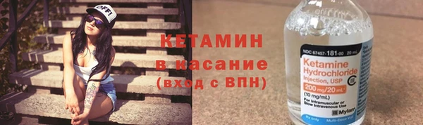 соль ск Тайга