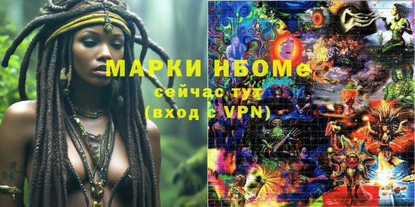 соль ск Тайга