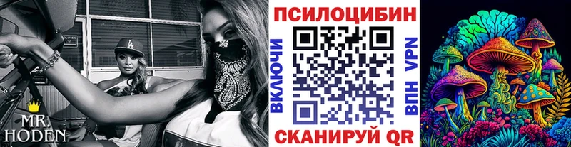 Купить  Полярные Зори  Псилоцибиновые грибы Psilocybine cubensis 