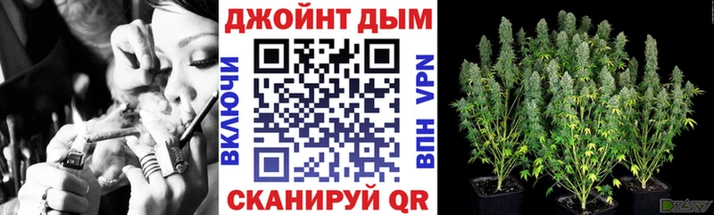 Купить где  Полярные Зори  Конопля тримм 
